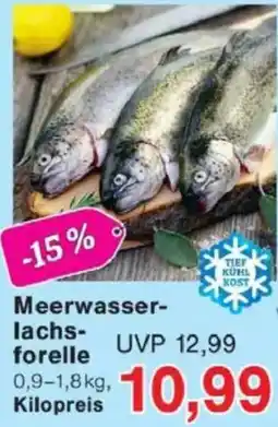 Jawoll Meerwasser- lachsforelle Angebot