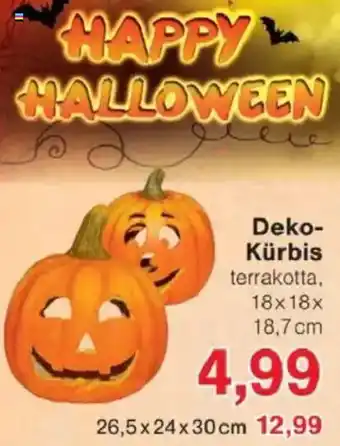 Jawoll Deko- Kürbis Angebot