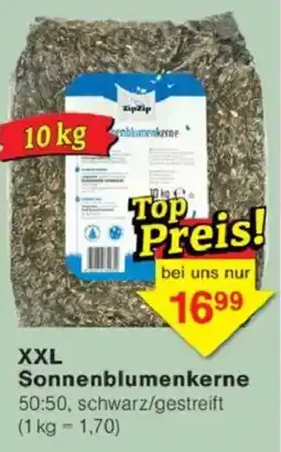 Jawoll XXL Sonnenblumenkerne Angebot