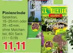Jawoll Pinienrinde Angebot
