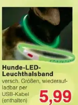 Jawoll Hunde-LED- Leuchthalsband Angebot