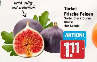 AEZ Türkei Frische Feigen Angebot