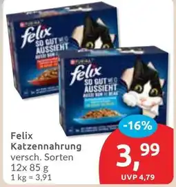 Budni felix Katzennahrung Angebot
