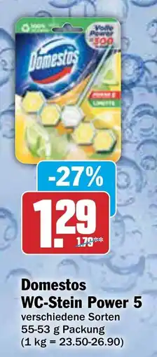 AEZ Domestos WC-Stein Power 5 Angebot