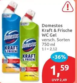 Budni Domestos Kraft & Frische WC Gel Angebot
