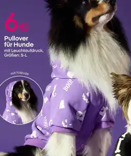 PEPCO Pullover für Hunde Angebot