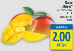 diska Mango „Osteen" Angebot