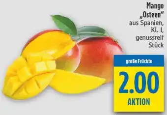 diska Mango „Osteen" Angebot
