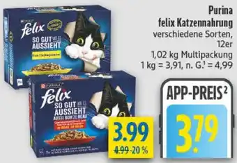 diska Purina felix Katzennahrung Angebot