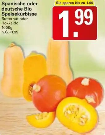 WEZ Spanische oder deutsche Bio Speisekürbisse Angebot