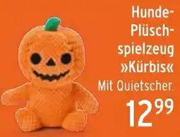 WEZ Hunde Plüschspielzeug Kürbis Angebot