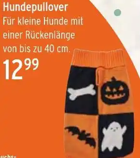 WEZ Hundepullover Angebot