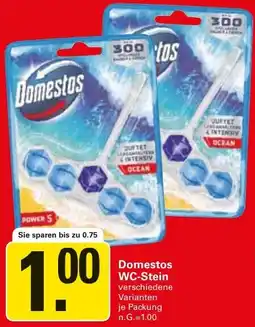WEZ Domestos WC-Stein Angebot