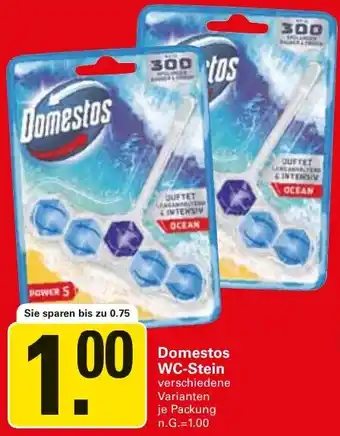 WEZ Domestos WC-Stein Angebot
