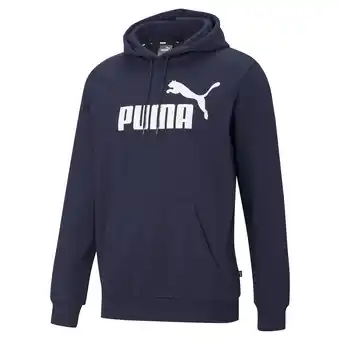 Netto Marken-Discount ESS Big Logo Hoodie FL Herren Sweatshirt Angebot