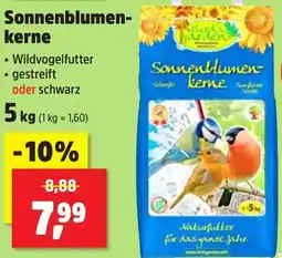 Thomas Philipps Bird's Garden Sonnenblumenkerne Angebot
