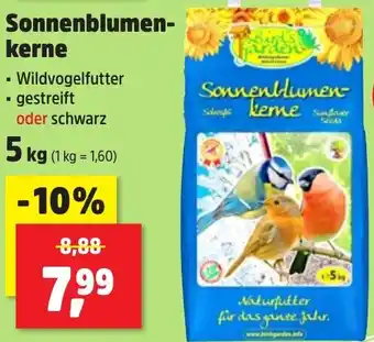 Thomas Philipps Bird's Garden Sonnenblumenkerne Angebot