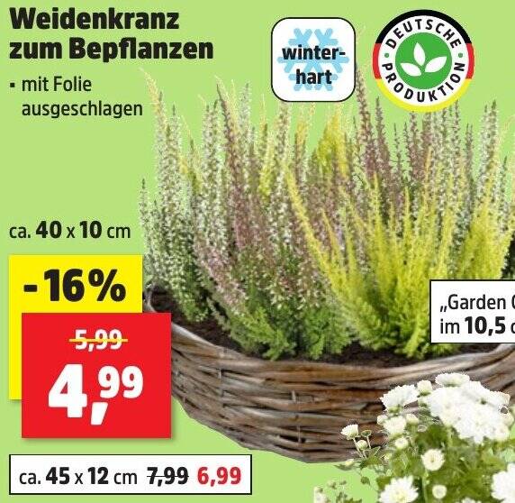 Weidenkranz zum Bepflanzen Angebot bei Thomas Philipps