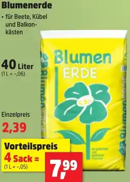 Thomas Philipps Blumenerde Angebot