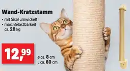 Thomas Philipps Wand-Kratzstamm Angebot