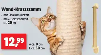 Thomas Philipps Wand-Kratzstamm Angebot