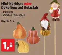 Thomas Philipps Mini-Kürbisse oder Dekofigur auf Holzstab Angebot