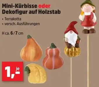 Thomas Philipps Mini-Kürbisse oder Dekofigur auf Holzstab Angebot