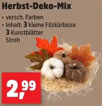 Thomas Philipps Herbst-Deko-Mix Angebot