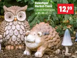 Thomas Philipps Dekofigur Herbst-Tiere Angebot