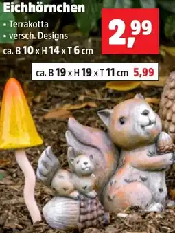 Thomas Philipps Eichhörnchen Angebot