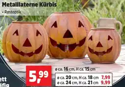Thomas Philipps Metalllaterne Kürbis Angebot