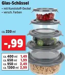 Thomas Philipps Glas-Schüssel Angebot