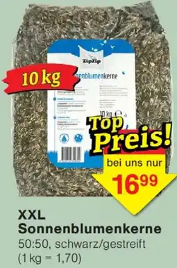 Wiglo Wunderland XXL Sonnenblumenkerne Angebot