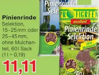 Wiglo Wunderland Pinienrinde Angebot