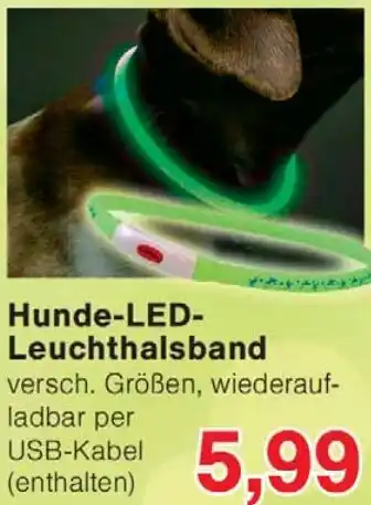 Wiglo Wunderland Hunde-LED Leuchthalsband Angebot