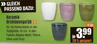 V Baumarkt Keramik- Orchideengefäß Angebot