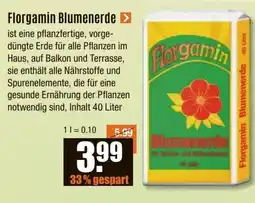 V Baumarkt Florgamin Blumenerde Angebot