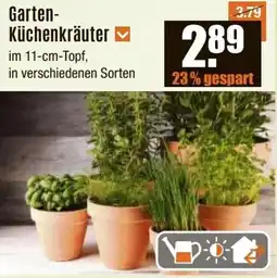 V Baumarkt Garten- Küchenkräuter Angebot