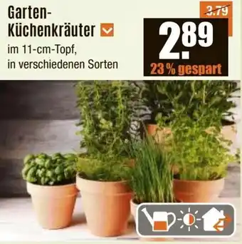 V Baumarkt Garten- Küchenkräuter Angebot