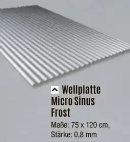 V Baumarkt Wellplatte Micro Sinus Frost Angebot