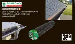 V Baumarkt BUMAG eG Dachrinnenbürste Angebot