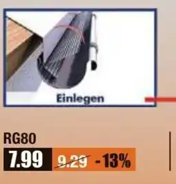 V Baumarkt Sarei Laubschutz RG80 Angebot