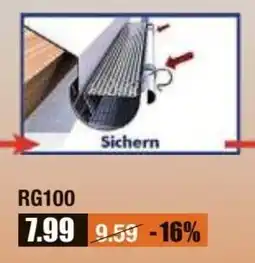 V Baumarkt Sarei Laubschutz RG100 Angebot