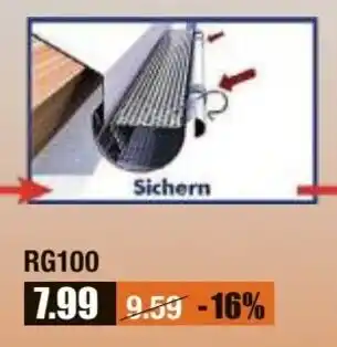 V Baumarkt Sarei Laubschutz RG100 Angebot