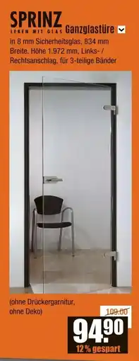V Baumarkt SPRINZ LEBEN MIT GLAS Ganzglastüre Angebot