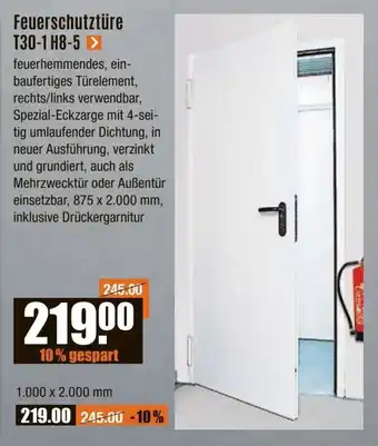 V Baumarkt Feuerschutztüre T30-1 H8-5 Angebot