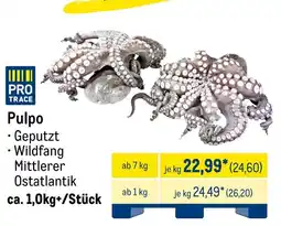 METRO Pulpo Angebot