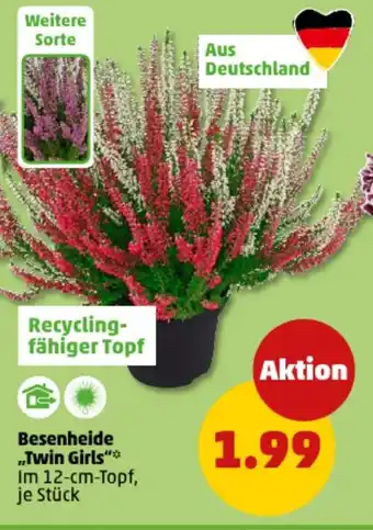 PENNY Besenheide „Twin Girls" Angebot