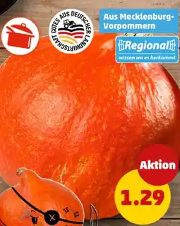 PENNY Bio NATURGUT Deutscher Bio- Hokkaido- kürbis Angebot