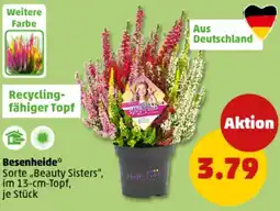 PENNY Besenheide Angebot